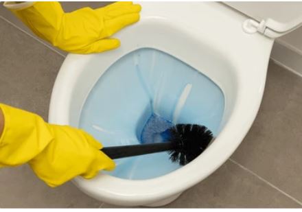 Toilet Cleaner